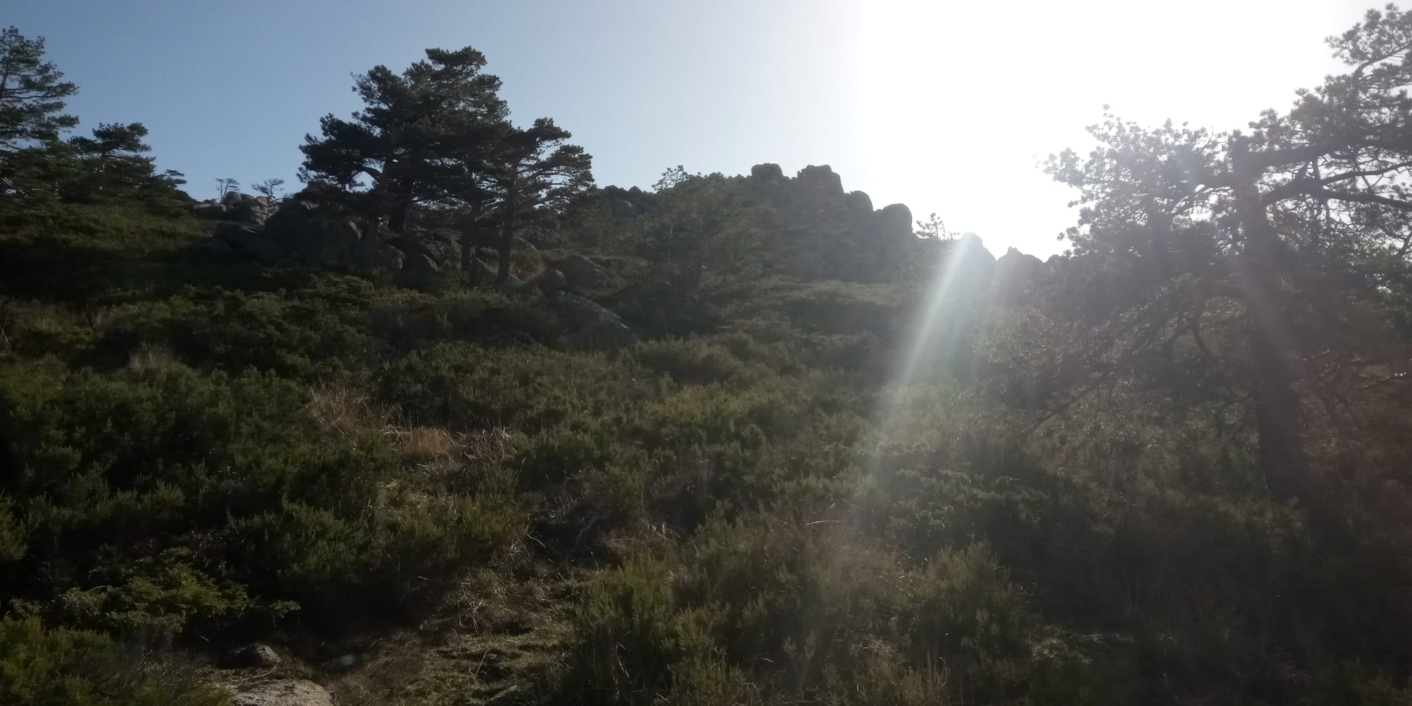 ZARZALEJO: 24/11 – 13 KM